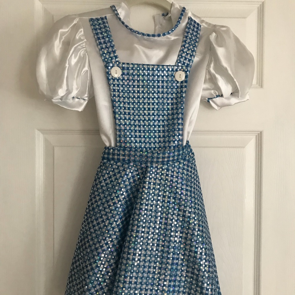 Dorothy Wizard of Oz Halloween Costume
